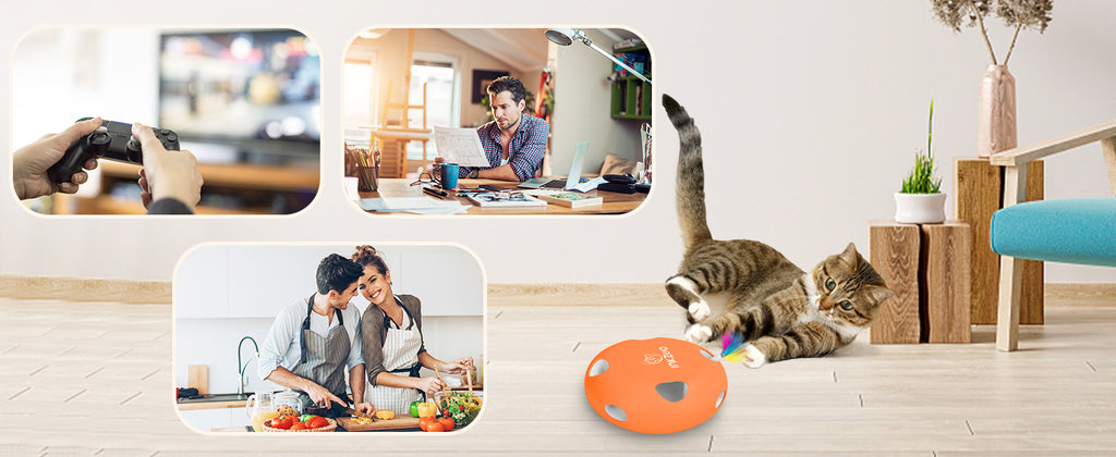 Cat toys, indoor interactive cat toys, 7-hole smart sensor pop-up feather toys, USB powered indoor cat automatic kitten toys
